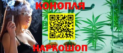 сатива Обнинск